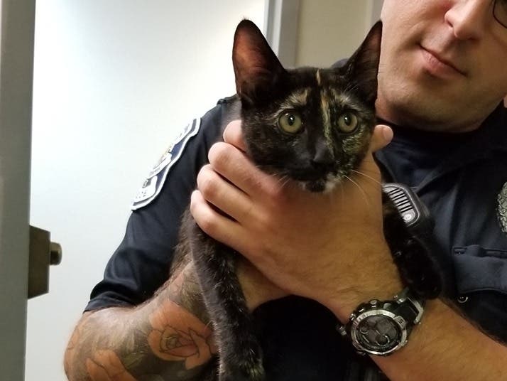 News small post card thumbnail