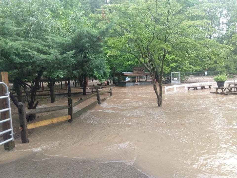 Tuesday's storm caused significant damage to Elmwood Park Zoo, and they need help rebuilding.