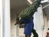 A unique new local business aims to help "save Christmas" by offering contactless delivery of trees amid the pandemic.