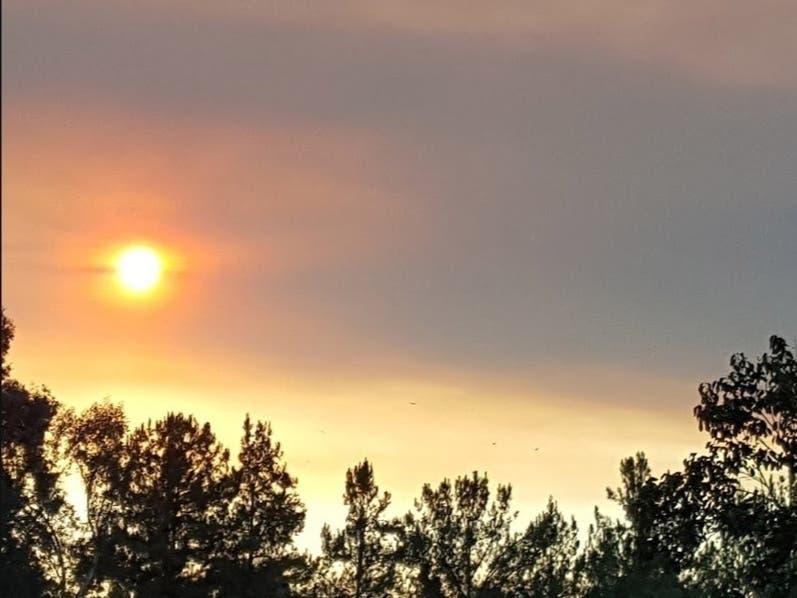 The state issued an air quality alert on Wednesday as the heat index threatened to push over 100.