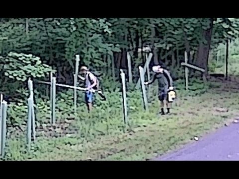 Two men ripped dozens of trees out of the ground in Upper Merion, police said. 