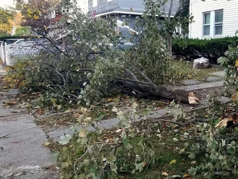 News small post card thumbnail