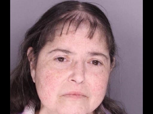 Cindy Desser, 57, of Jamison, has been charged with endangering the welfare of children.