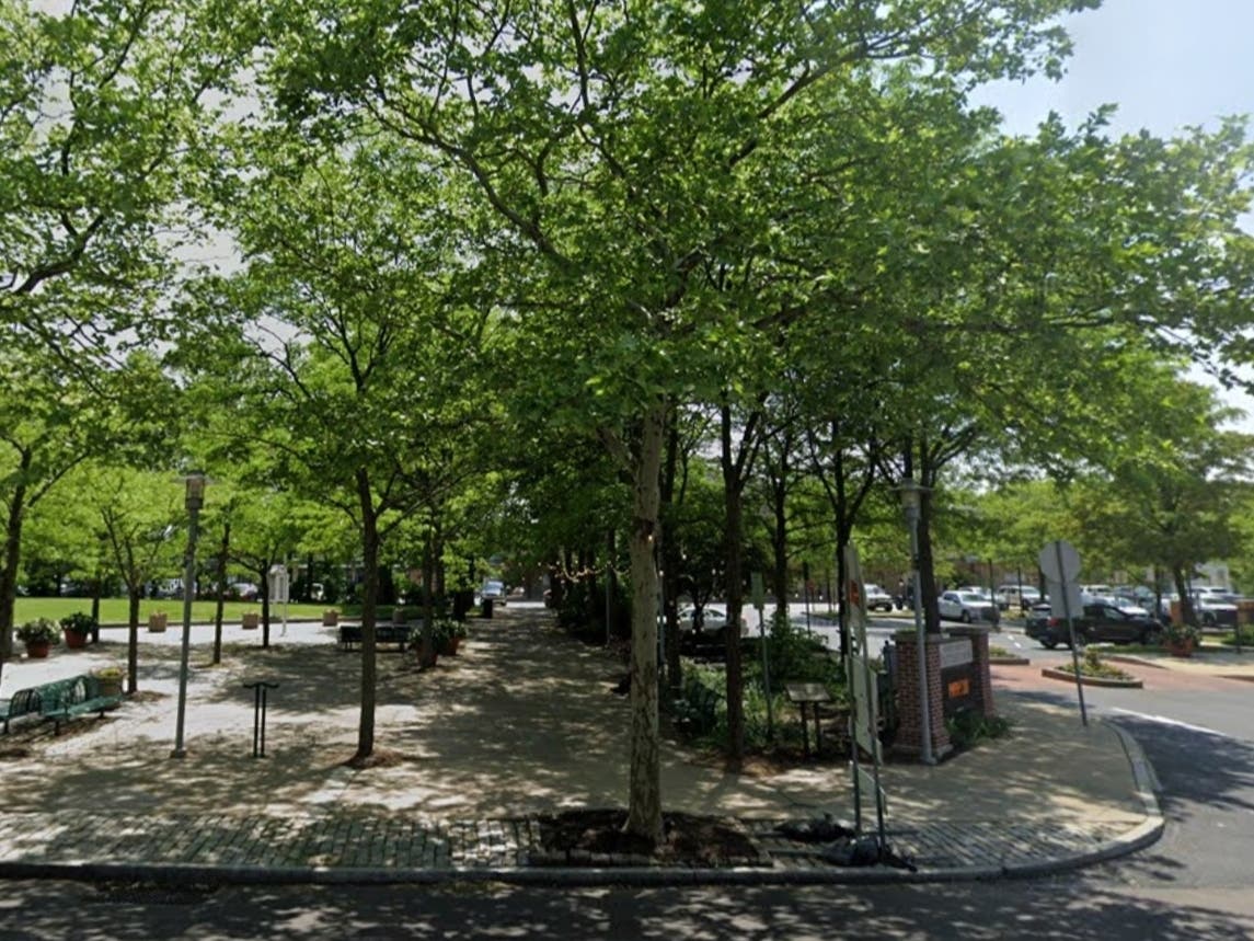 Pottstown has received a Montco 2040 grant to help sidewalks and trees better coexist on E. High Street.