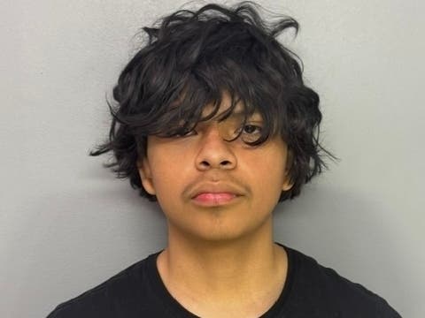 Alex Herrara, 16, has been charged with first and third degree murder in the killing of a 15-year-old in Norristown Wednesday night, officials announced.