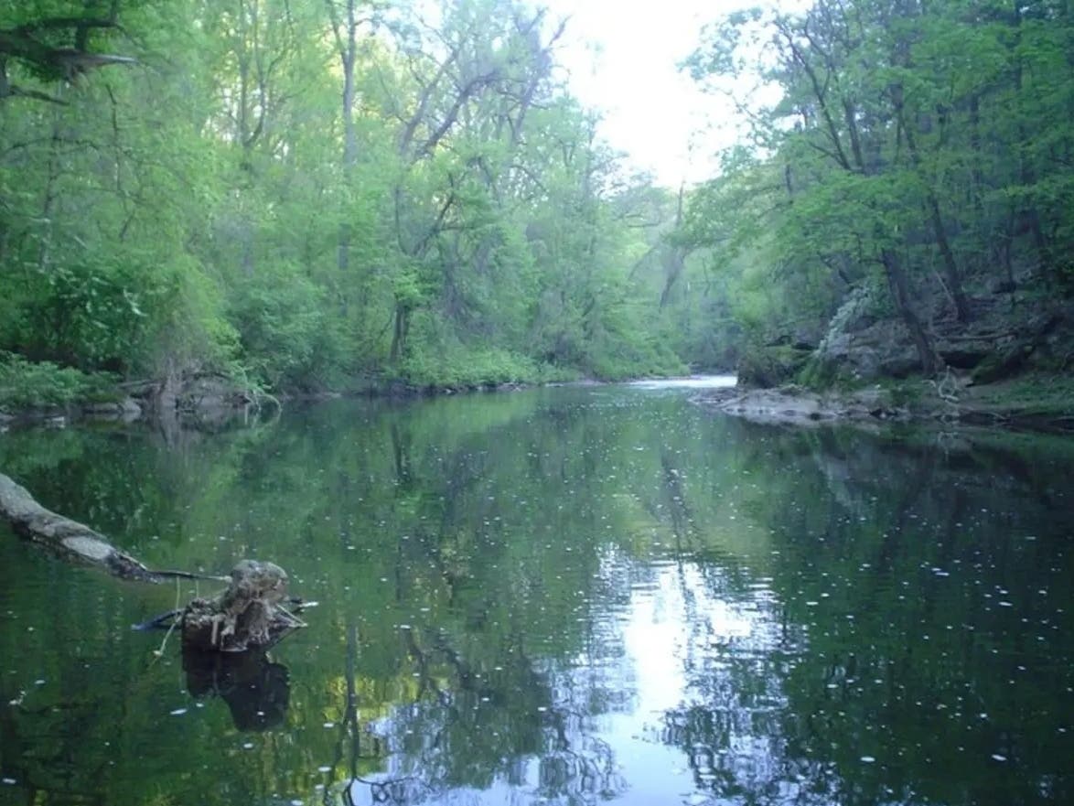 A "do not eat" advisory has been issued in the Wissahickon Creek watershed and trout stocking has been canceled after high levels of PFOS were detected in fish tissue.