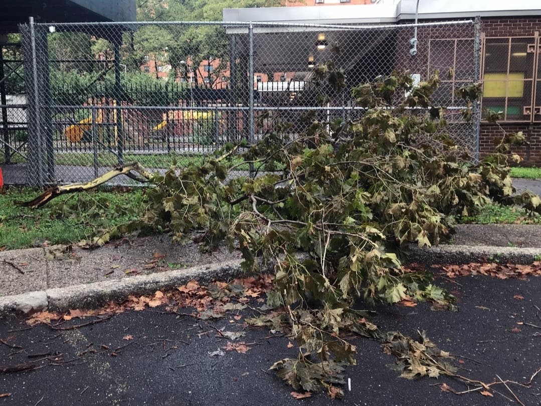 'Wild Ride' Of Damaging Winds, Thunderstorms Threaten Philly Area