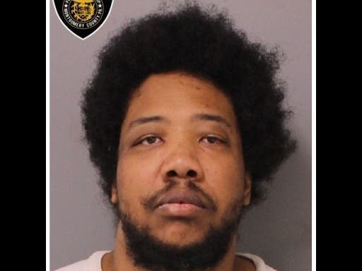 Dallas Whitt Anderson-James has been charged with aggravated assault and numerous related counts after a recent incident in Plymouth Township.
