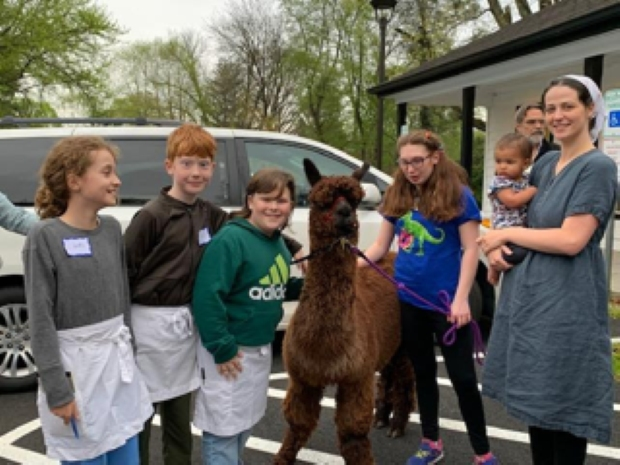 George the Alpaca, the favorite of Newtown Quaker Meeting member, Charlotte, visits the Quaker Kids Lasagna Dinner which raised $2,426 for the Callowhill Alpaca Farm in Perkasie, PA