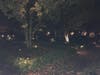 Evening in the Park