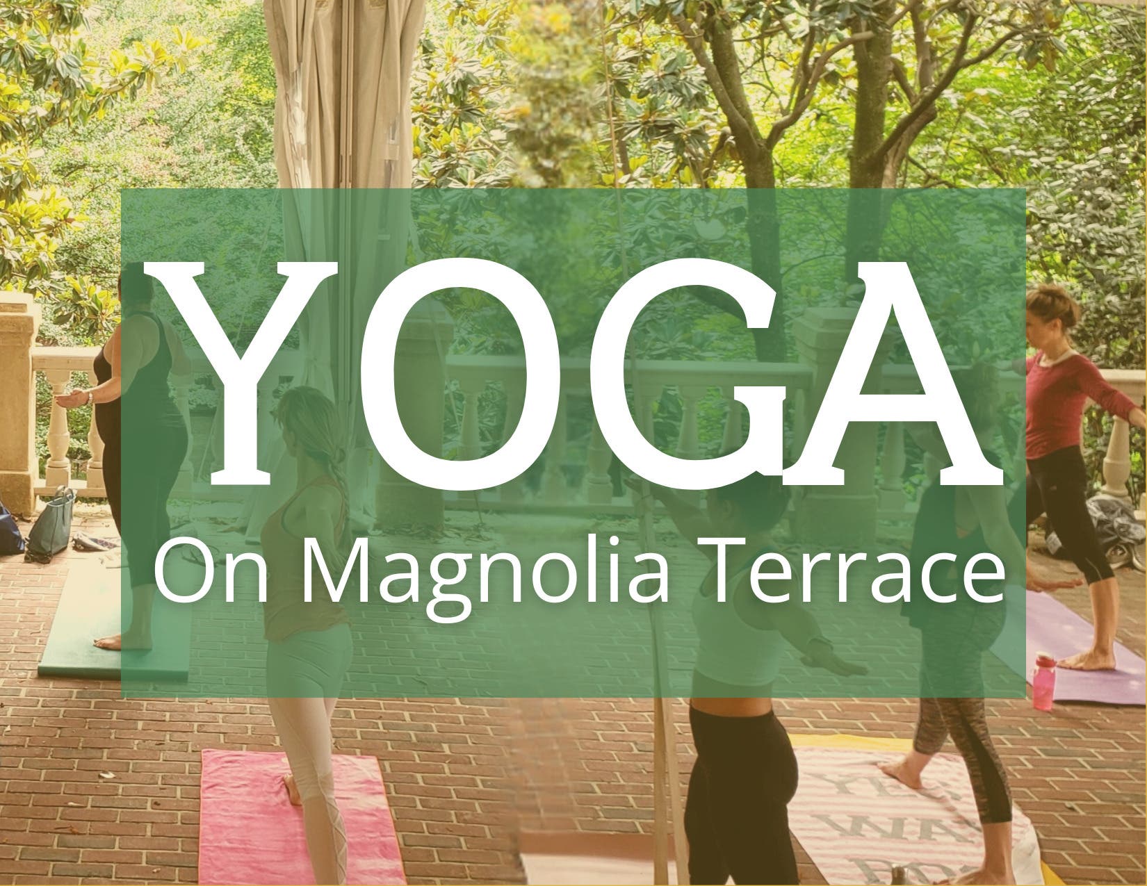Yoga on the Magnolia Terrace