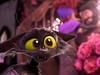 Image from "The Witch's Cat" Nominated in the Animation Series Category