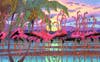"Sunset Flamingos"