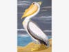 "Ode to Audubon: White Pelican"