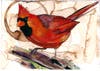 "Cardinal" by painter Craig Peterson