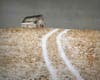 "White Barn in Soft Snowy White Field" by photographer Lisa Lammey