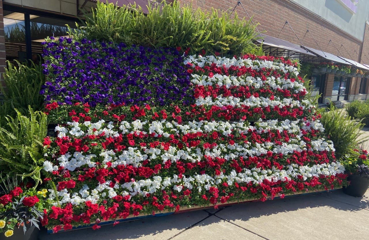 2026 Naperville VFW Benefit Plant Sale