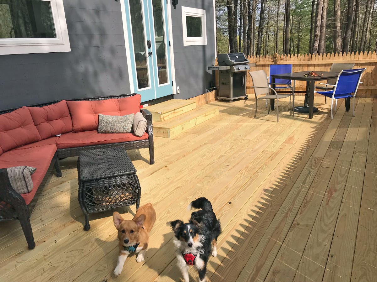 DogFriendliest Resort in the Catskills Adds Pawfect New Touches