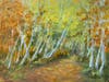 Birch Lit Path, 18"x24", oil on canvas by Kate Emery