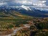 Flathead National Forest in Montana, has a shortage of trees resilient to wildfire, insects, and diseases. DK Solutions is partnering with OneTreePlanted to plant western larch, ponderosa pine and white pine trees, to help restore the forest's resilience.