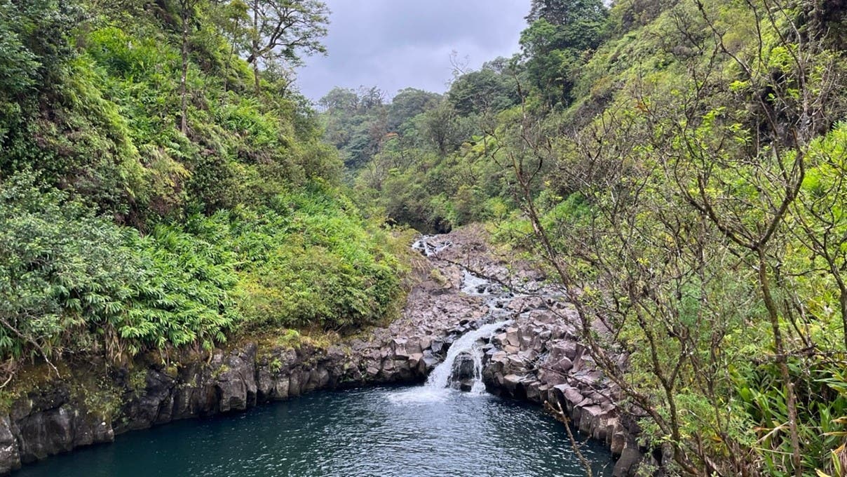 A forest with waterfall in Hawaii
