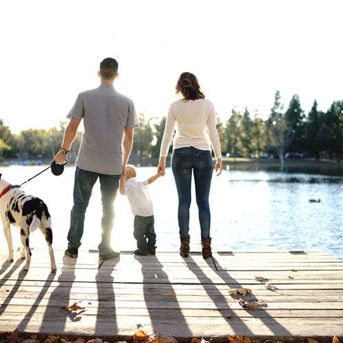 https://patch.com/img/cdn20/users/22861800/20160915/021914/styles/raw/public/article_images/preventing-dog-bites-this-fall_830_40138728_1_14132255_500-1473963165-9760.jpg