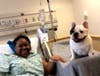 Celebrity bulldog Manny the Frenchie brought a lot of cheer to patients at Advocate Christ Medical Center. 