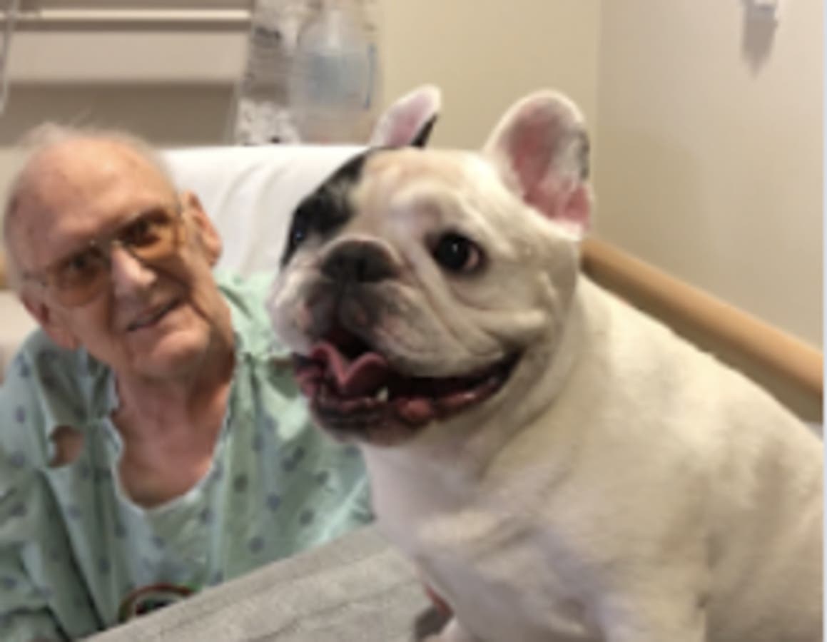 https://patch.com/img/cdn20/users/22862198/20190314/094530/styles/raw/public/processed_images/manny_the_frenchie_with_patient_2-1552571041-3300.jpg