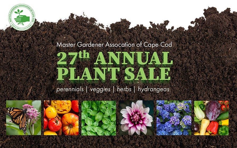27th Annual Master Gardeners Plant Sale