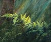 “Evening Ferns” (2nd Place) by L.A. Hart