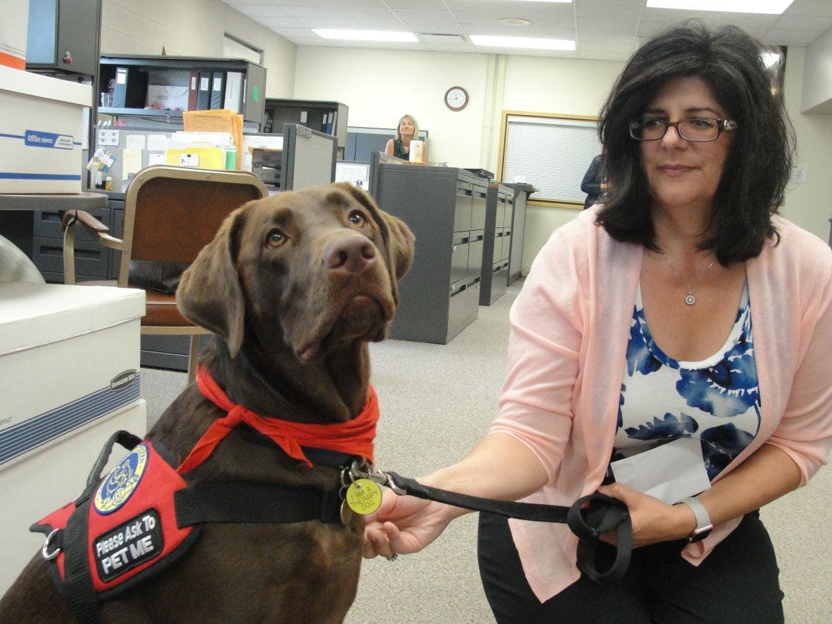 Therapy dog visits Schilling School to comfort students, staff | Homer ...