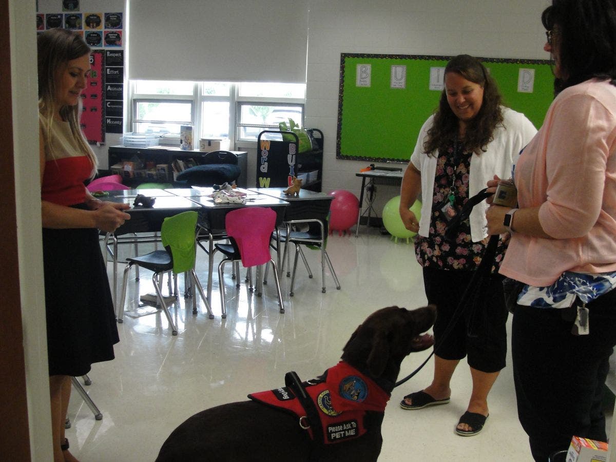 Therapy dog visits Schilling School to comfort students, staff | Homer ...