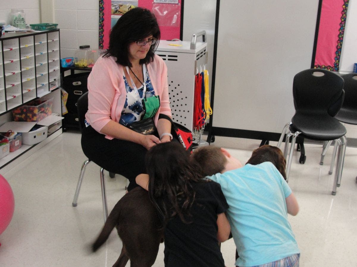 Therapy dog visits Schilling School to comfort students, staff | Homer ...
