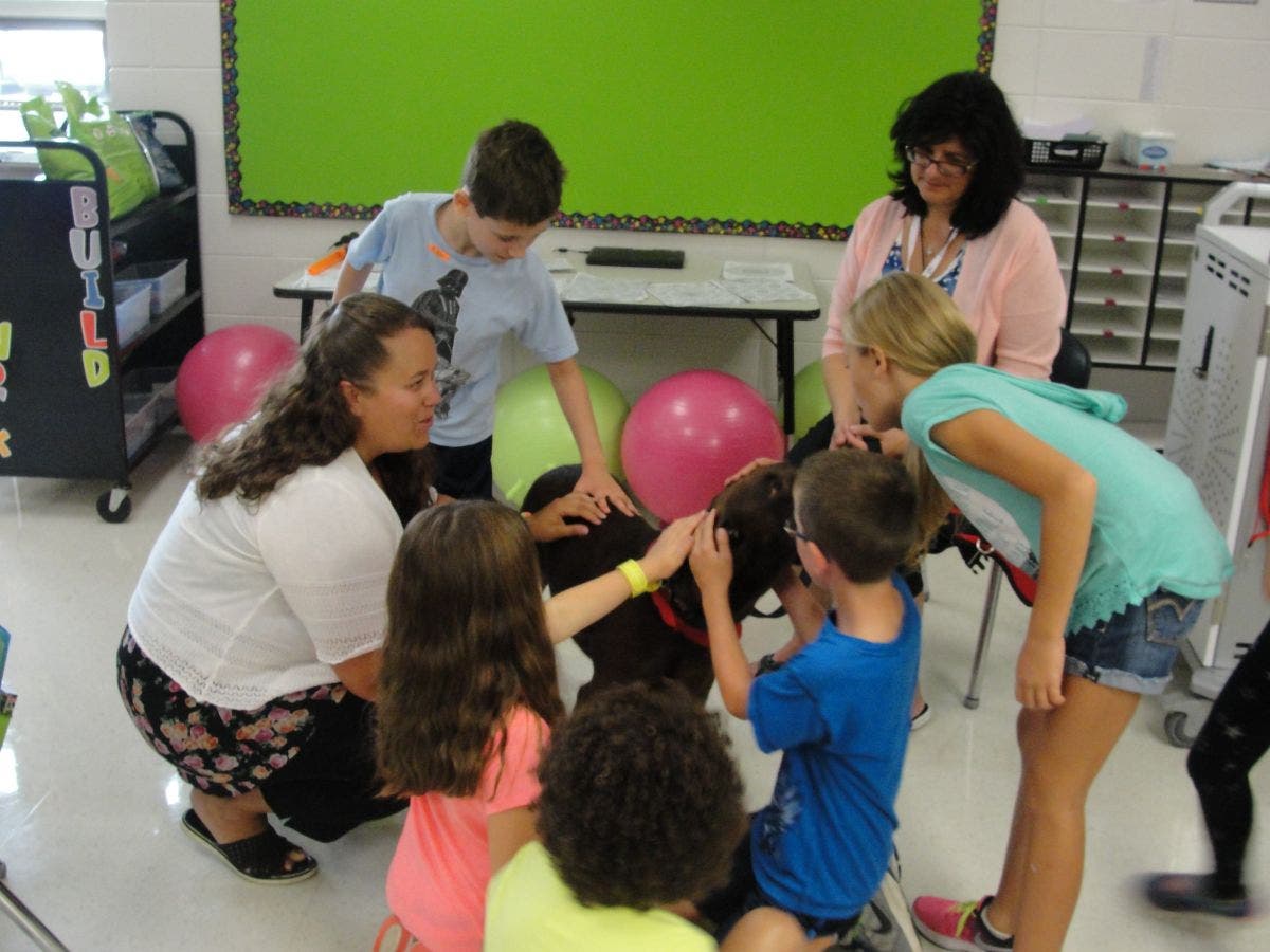 Therapy dog visits Schilling School to comfort students, staff | Homer ...