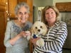 Trained therapy dogs bring comfort to isolated seniors.