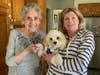 Trained therapy dogs bring comfort to isolated seniors.