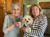 Trained therapy dogs bring comfort to isolated seniors.