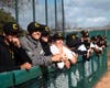Chabot players in the dugout