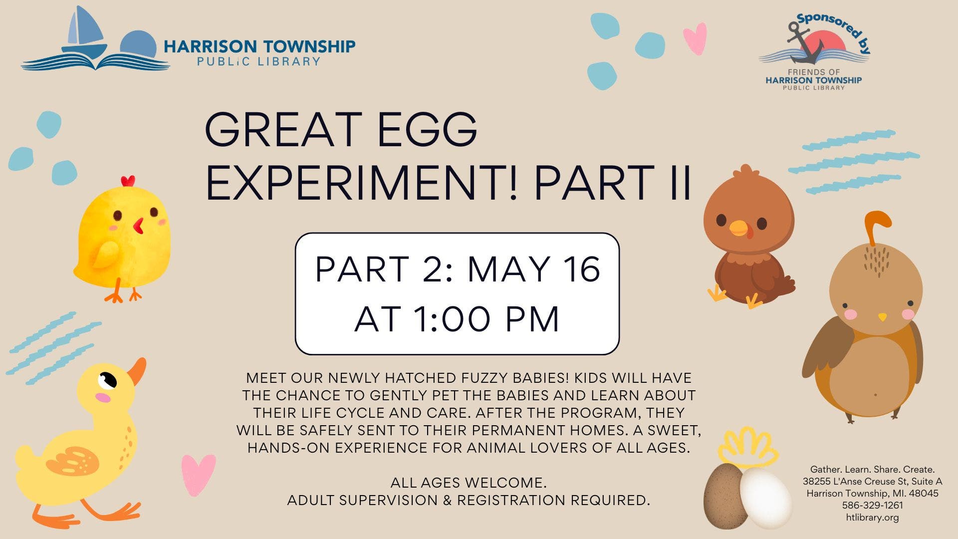 The Great Egg Experiment, Part Two: Eggs Go Home!