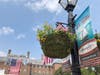 Hanging flower baskets were installed along King Street as part of the King Street Corridor Initiative.