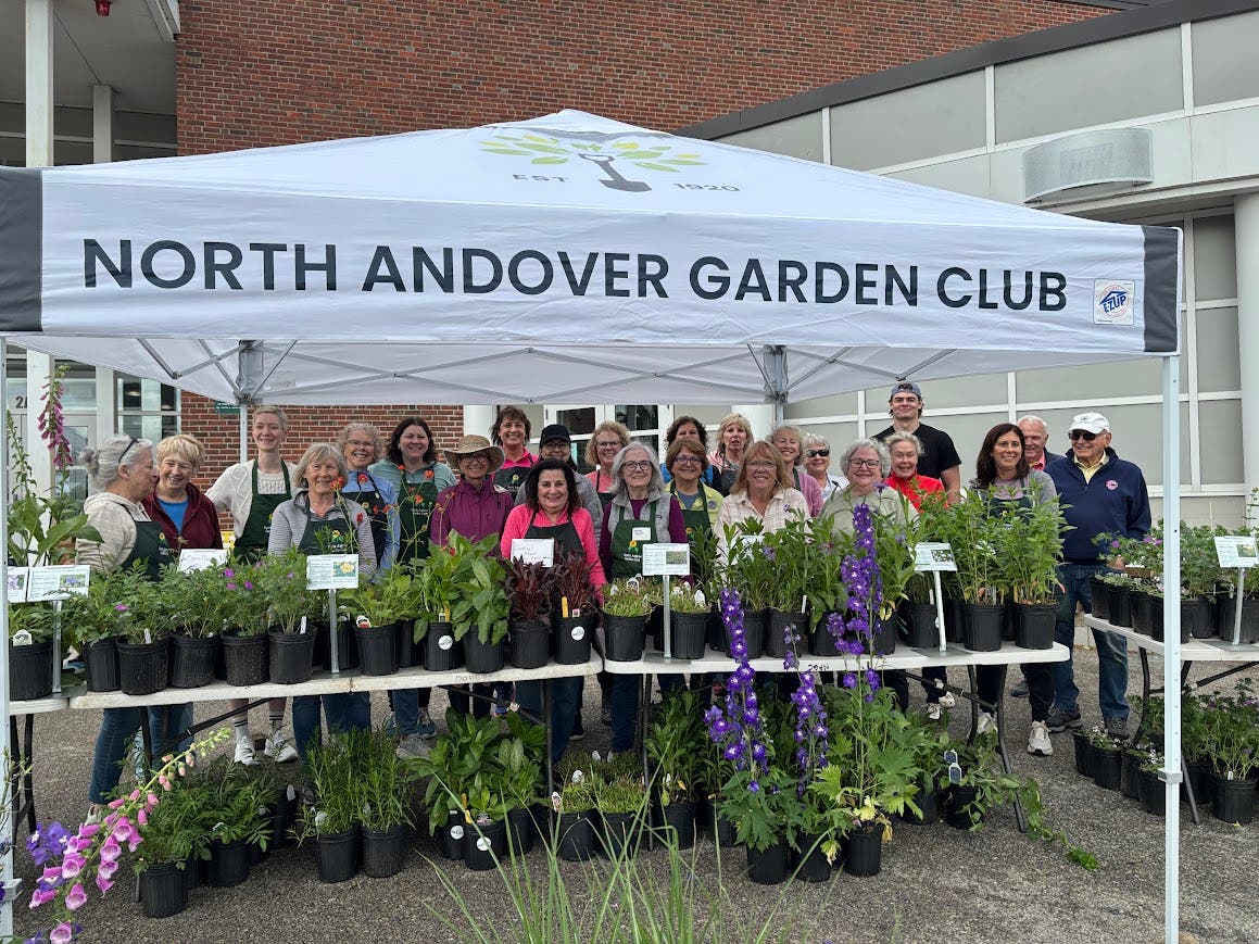 Annual Plant Sale North Andover Garden Club