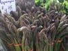 Asparagus at the Doylestown Farmers Market