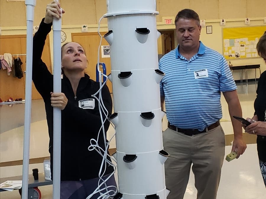 Vertical Garden Installation