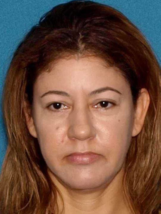 Monica Ippolito, 49, of Paterson, hit the woman while driving a gold Chrysler Voyager minivan, police said.
