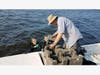 This is a photo from last summer of divers placing the cinder blocks into Raritan Bay.