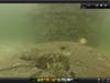 A view of one of the underwater "oyster castles."