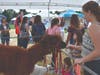 A photo from the petting zoo at last year's Aberdeen Day.