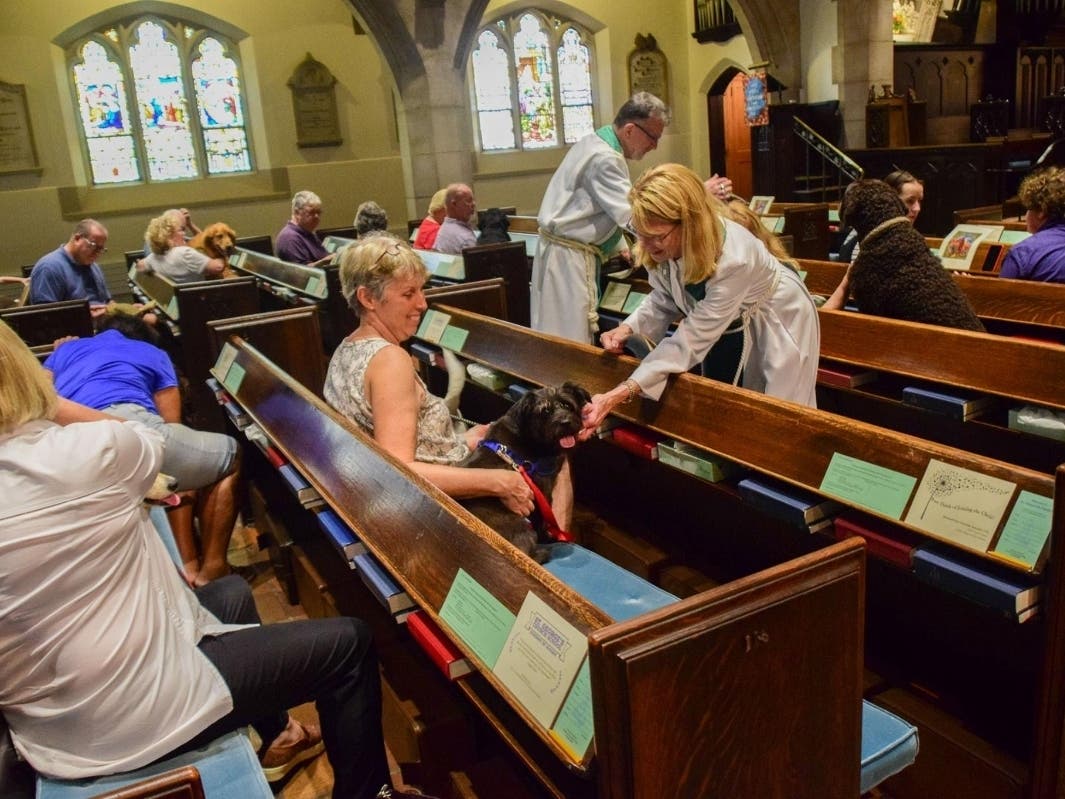 Get Your Pet Blessed This Sunday At Rumson Church Rumson, NJ Patch