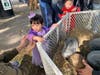 Kids could pet rabbits, hold chicks and ride ponies at the petting zoo.
