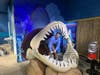SeaQuest owner and CEO Vince Covino in a replica megalodon shark's mouth that children can pose in.